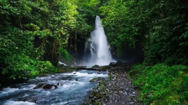 Panorama Segar Curug Telunjuk Raung Banyuwangi