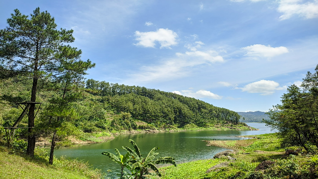 Eksplorasi Danau Hutan Ranu Gumbolo di Tulungagung